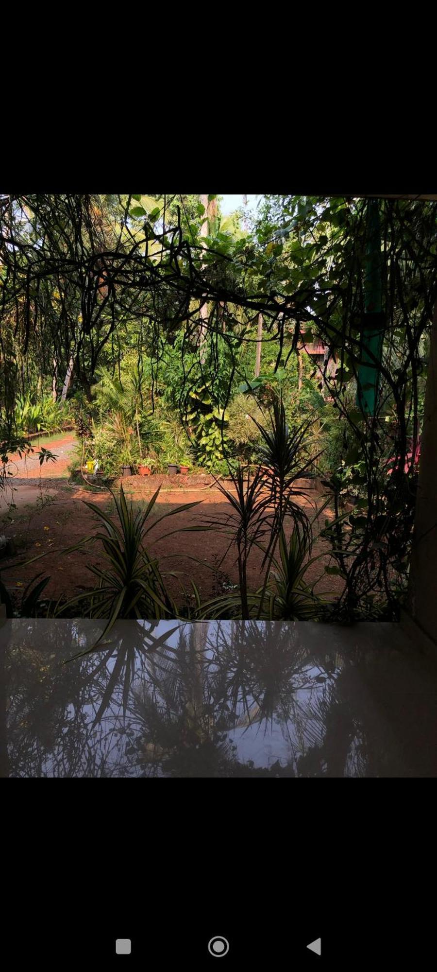 Narayanalayam-Vintage Retreat-Homestay & Rest'Inn Kannur Buitenkant foto